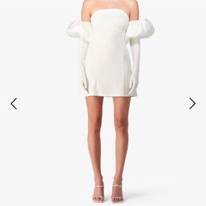 WHITE WOLF AND BADGER DRESS WITH PUFF AND GLOVES